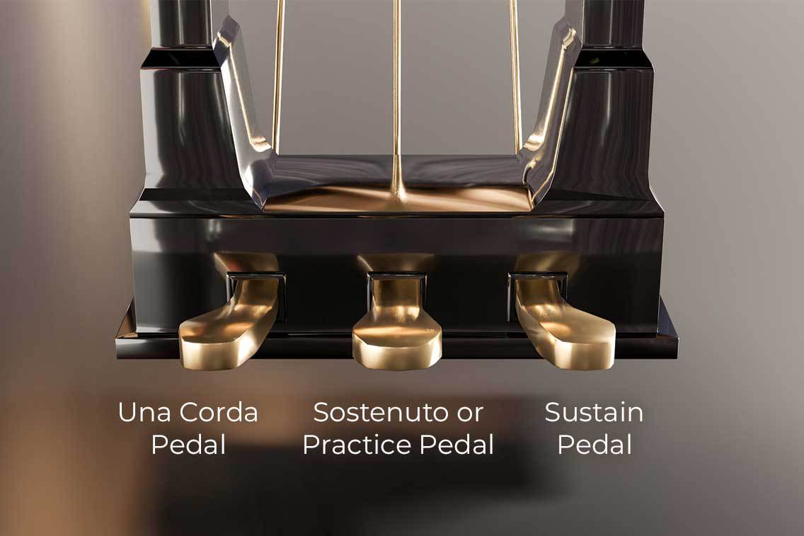 Piano Pedals, What Do Piano Pedals Do, Sustain Pedal